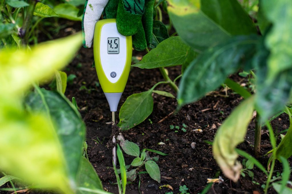 An IoT moisture sensor used to determine when a field needs more water.